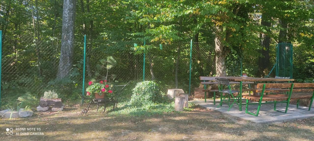 Holiday Home Nina Petrinja Exterior foto